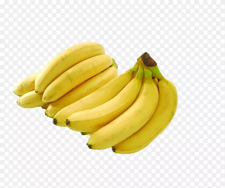 �㽶Ӫ���Ž�-�㽶-������