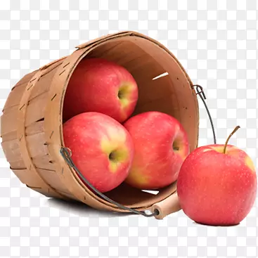 ƻ��������-ƻ��-������