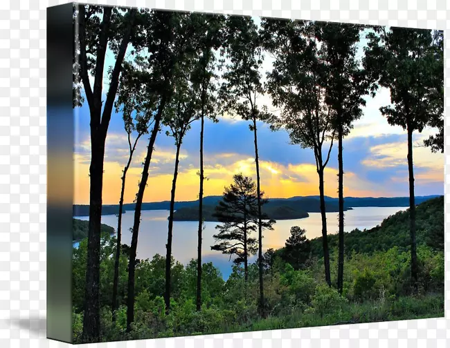 ��������Ȱ�������������-������