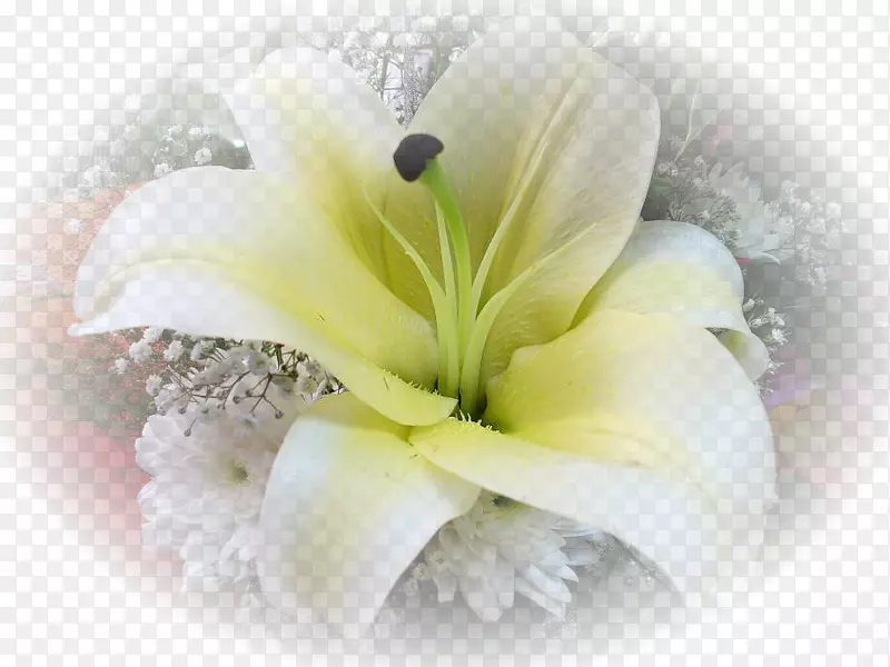 ��������л��ٺϻ�-������