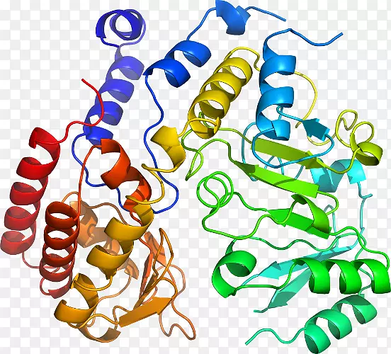 ���������л����߼�������-������