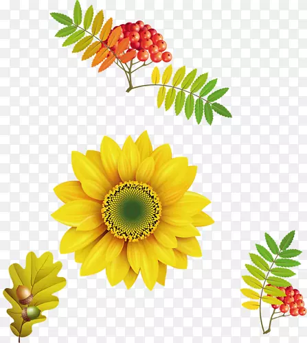 ������-������