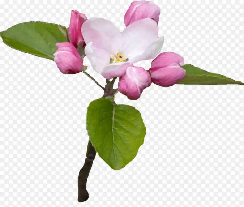 �廨����-������