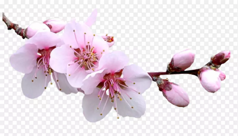 ����-������