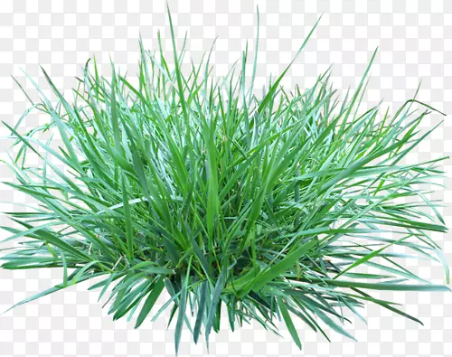 �����ֽ��ֽ������-������