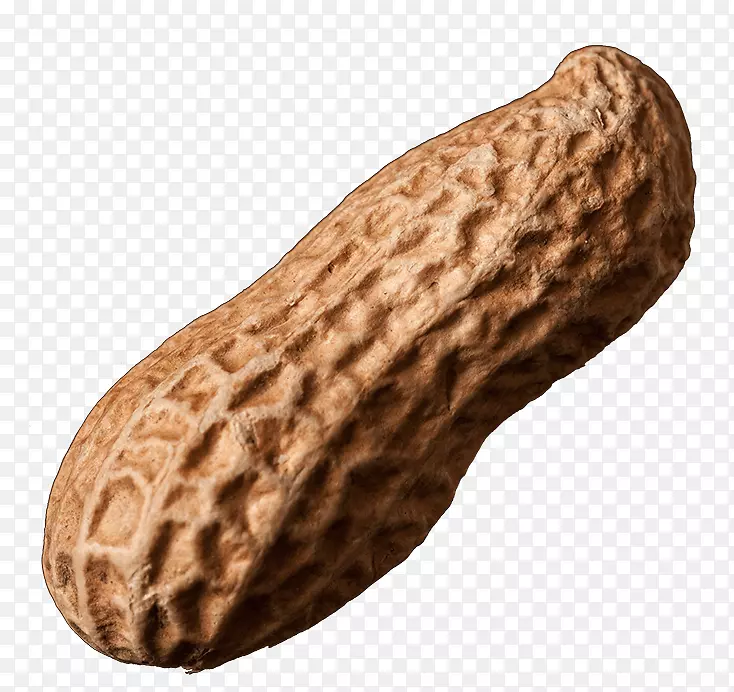 ���������ʳ�������-������