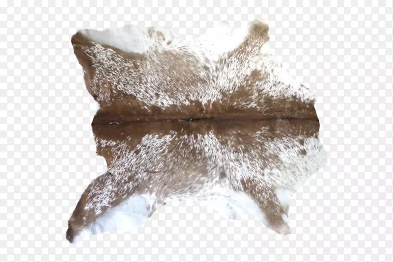 ��ţ��ëƤ��̺�ذ�-������