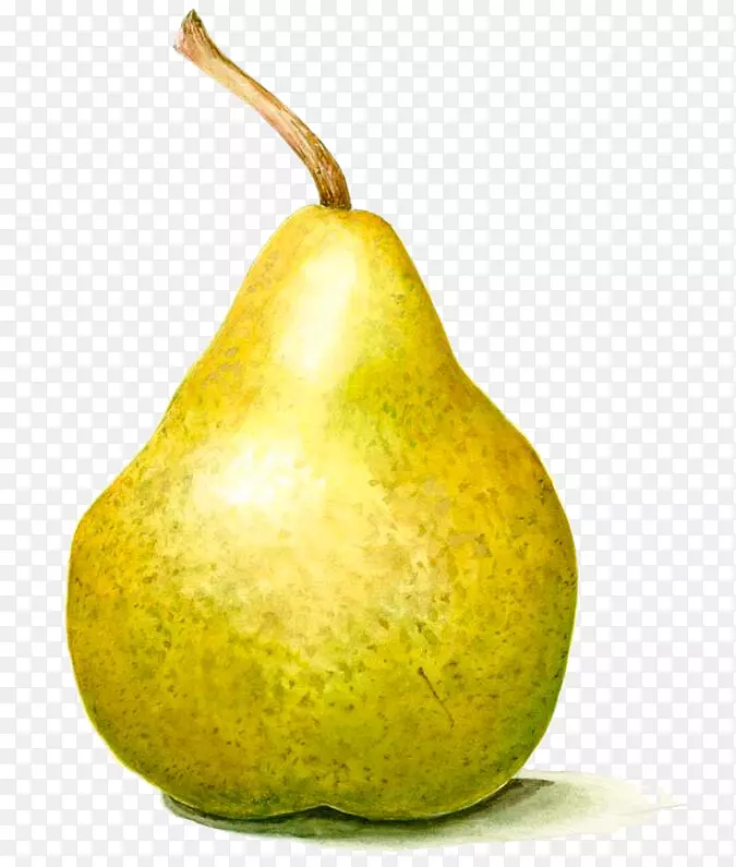 ��ֽˮ�ʻ�-��-������