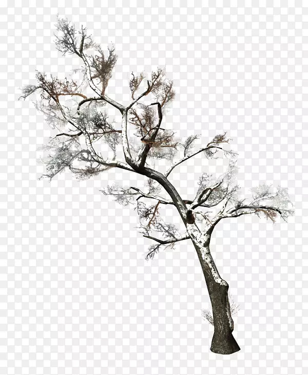 ��֦ľ��ֲ���������-������