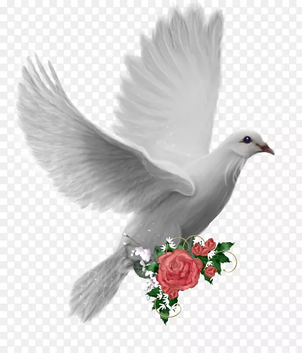 �����ֽ������Ӱ-������