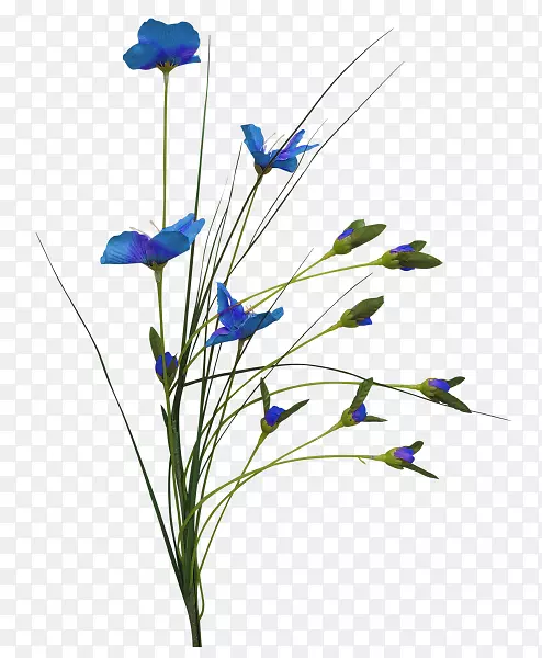 �л�-������