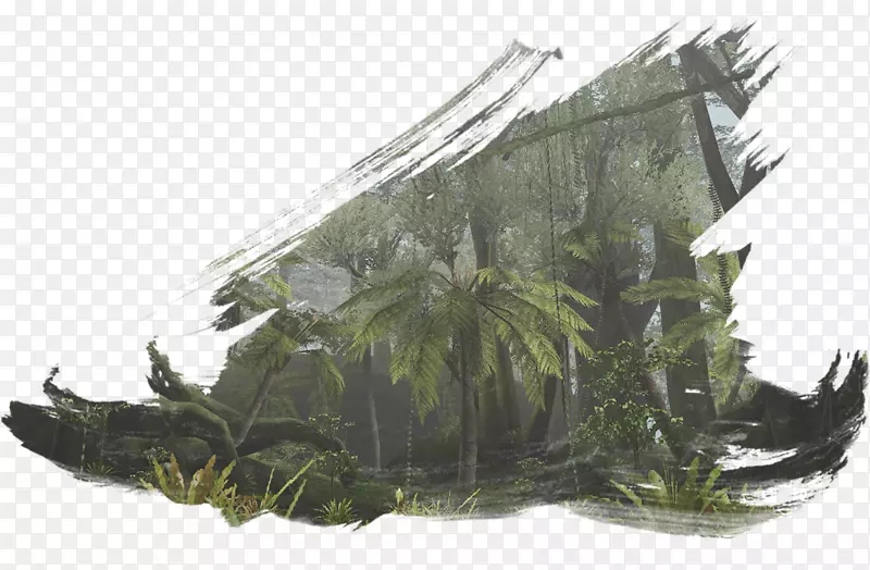 ˮ�ʻ�ˮ�ʻ�-������