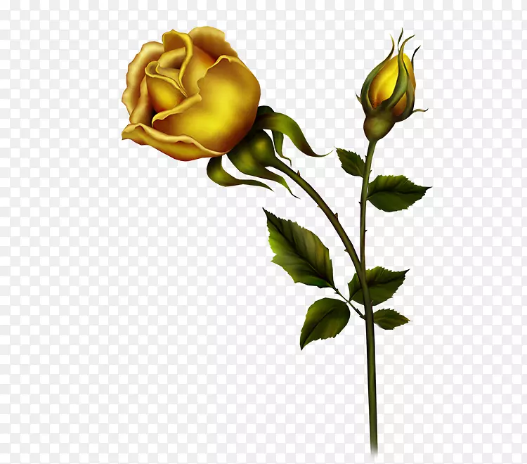 õ�廨�ټ�����-������