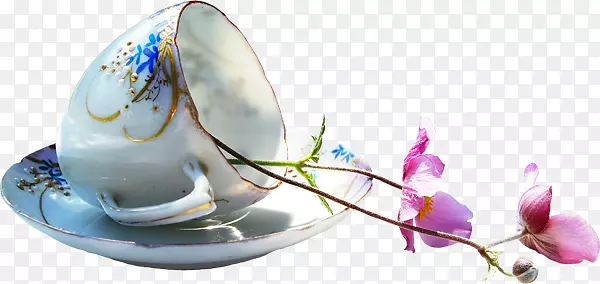 ���ȼ�����-����-������