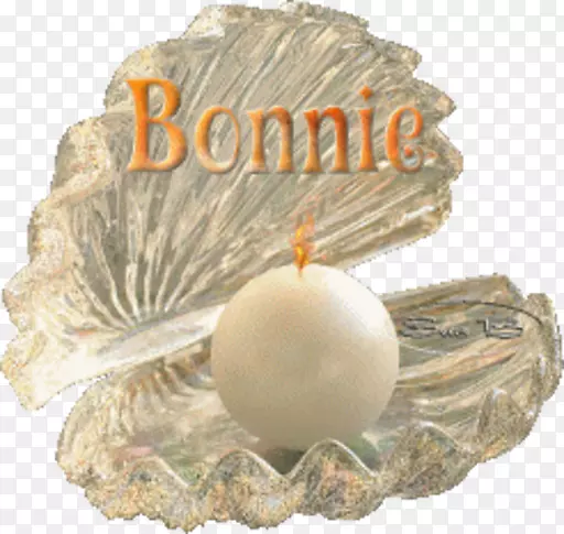 ������Ӱ��������-������