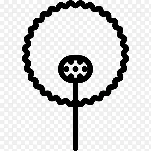 �����鱦��ʯ���ʯ-������