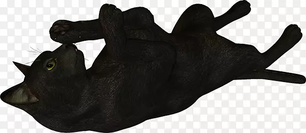 ��è����è-������