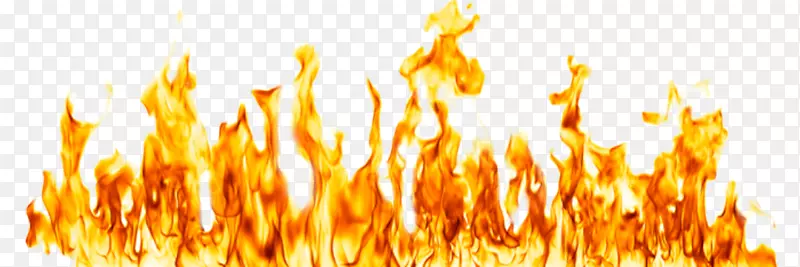 �����ֽ������.��-������