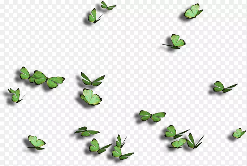 ��������-����-������