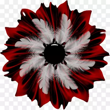 �����л�����ֲ��-������