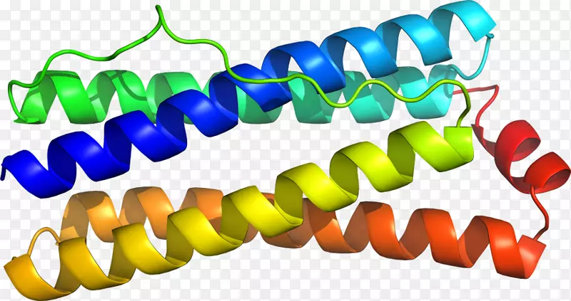 �����鱦�߼�������-������