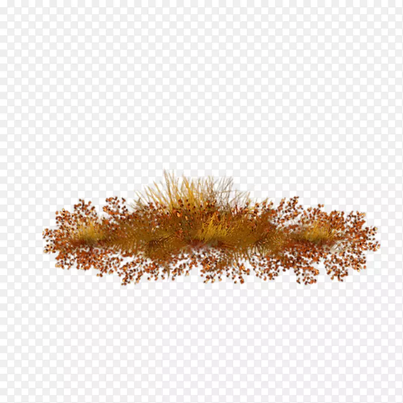 ��֧-������