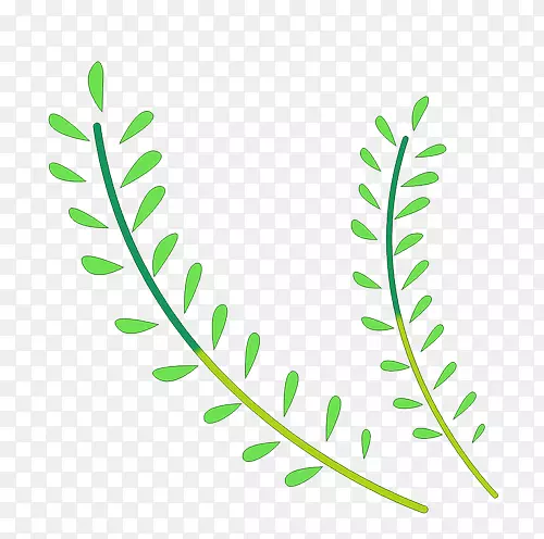 ������Ӱ��װ��Ǽ�������-������