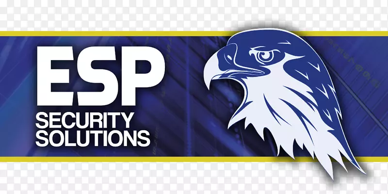 �̱���-Ʒ��-������