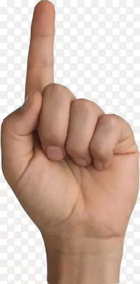 ʳָ��ָĴָ������-������