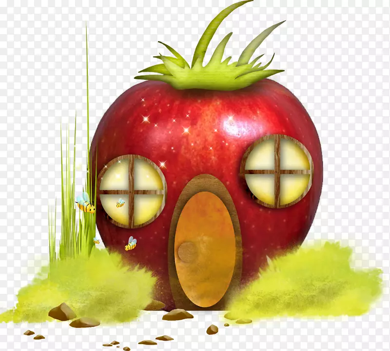 �����ֽ������-������