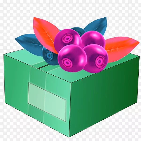 ��ݮ����-��ͨ��ζ��ݮ-������