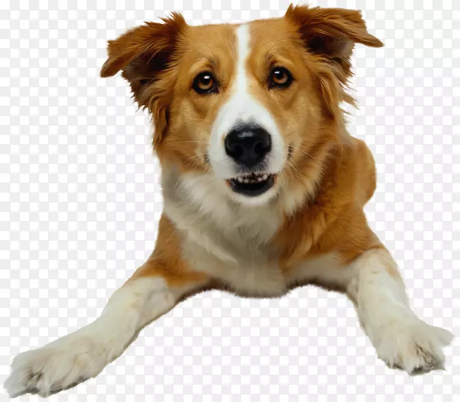 ���￴�������ԮС��-��-������