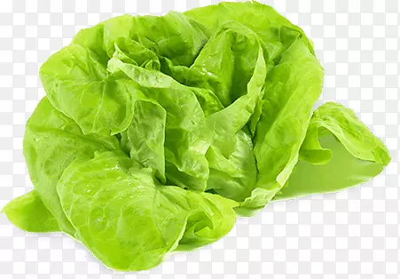 Ҷݫ���߲˱�ɽݫ��Ʒ��ʳƷ�߲�-������