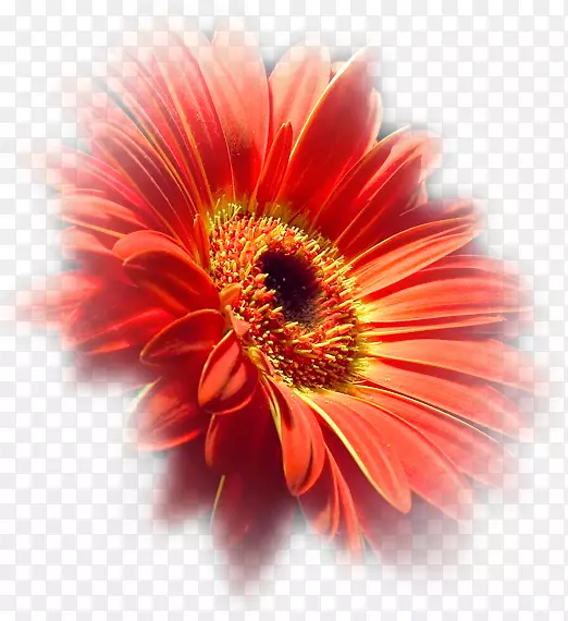 ���ͻ�ͼ.de-��-������