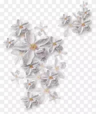 ���Ĳ���-������