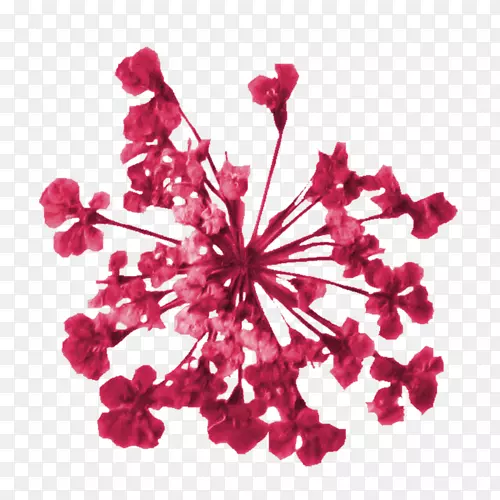 �����л�����-������