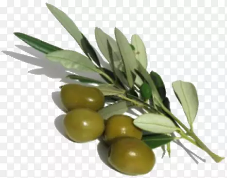 �����ʵ���ҳɷ�.�����-������