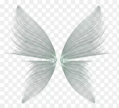 ������-������