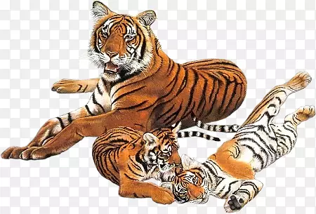 �ϻ���Ӱ����-�ϻ�-������