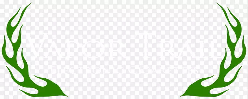 Ҷ��ֲ�ﾥ��Ʒ������-Ҷ-������