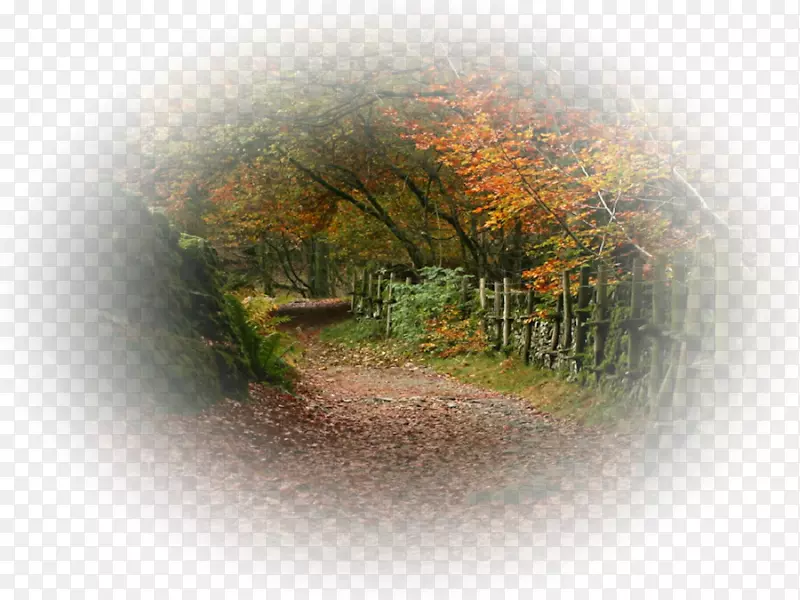 �����ֽ��Kolej Tuanku ja��afar�������-��-������