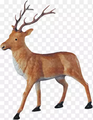 ʥ�����˵�ѱ¹¹��-ѱ¹-������