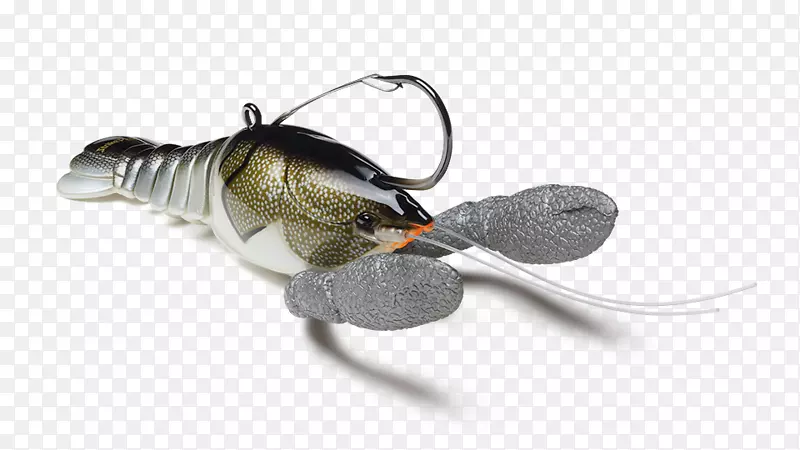 ����-����-������