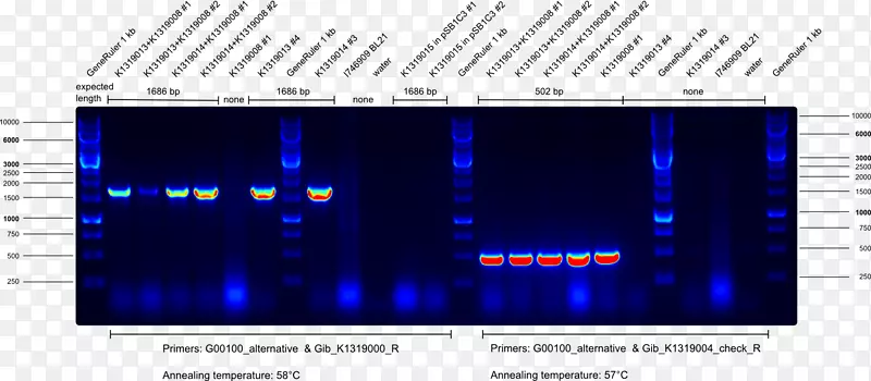 ������Ƶ�����������-������