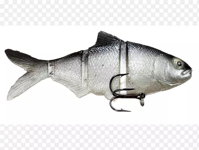 ɳ���㡢�������㡢Ӿ��������-������