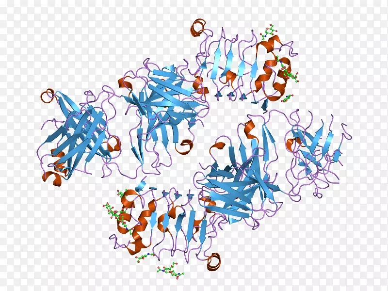 �ߵ���������-������