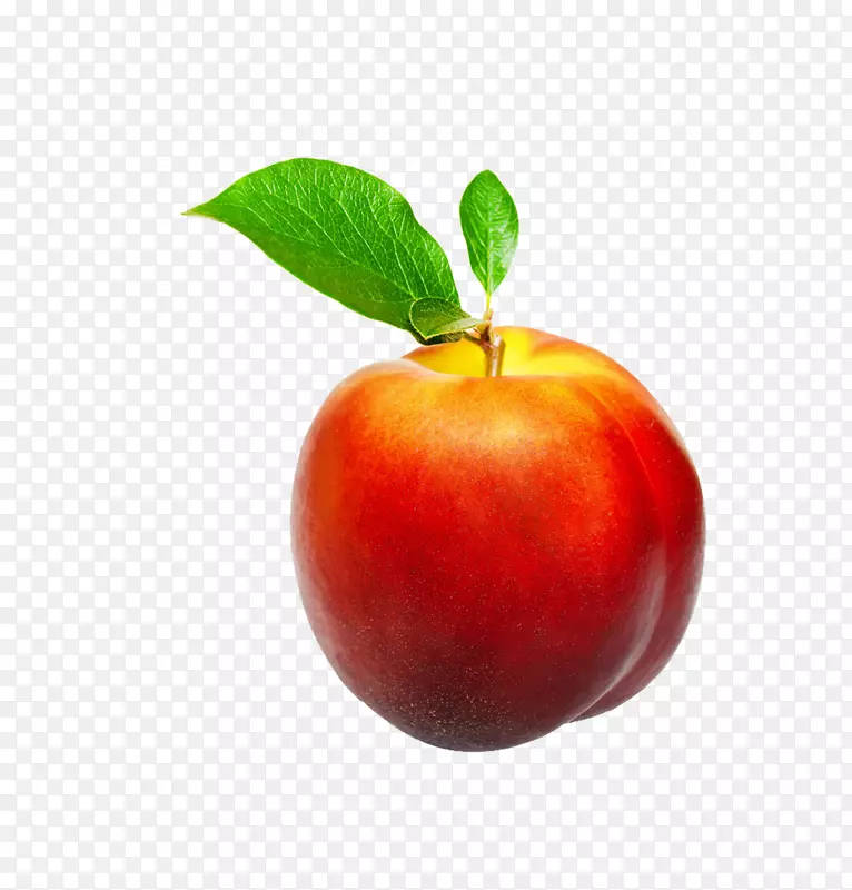 ���ҹ�����-��-������