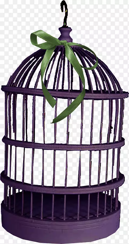 �������������-������