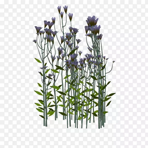 Ӣ��޹�²���ֲ֦�ﾥ����-������