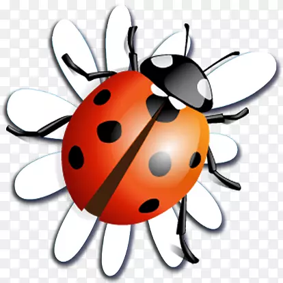 �׳�-ư�������-�׳�-������